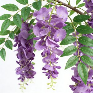 <span class=keywords><strong>Arbre</strong></span> artificiel <span class=keywords><strong>de</strong></span> glycine violette, plante <span class=keywords><strong>de</strong></span> glycine artificielle pour toile <span class=keywords><strong>de</strong></span> fond <span class=keywords><strong>de</strong></span> mariage et décoration intérieure - Product Image 4