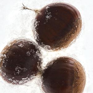Châtaignes surgelées <span class=keywords><strong>de</strong></span> haute qualité, pures, sans additifs, logistique en chaîne du froid, provenant <span class=keywords><strong>de</strong></span> notre propre base <span class=keywords><strong>de</strong></span> production - Product Image 1