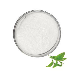 Pasokan Pabrik Suplemen Organik L-theanine Ekstrak Terbaik L-theanine Bubuk Organik L Teanine Bubuk Grosir CAS 3081-6 - Product Image 1