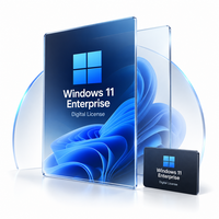 Sistem Operasi Windows 11 Enterprise Edition untuk Organisasi Besar, Jaringan Bisnis, Komputer Tersedia, Dilengkapi Internet