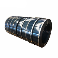 Spring Steel Strip Coil 65Mn for Clock Spring Clutch Plate and Stamping Parts