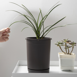 Pot à orchidées en bambou anti-adhérent C303 avec support de base - Pot à fleurs en plastique pour plantes vertes succulentes - Product Image 6