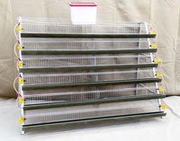 Cage pour caille, équipement d'élevage agricole, meilleure vente
