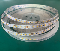 10 mètres DC12V SMD 2835 LED bande lumineuse cuivre lampe corps pour éclairage paysager et décor IP20 note