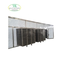 Aangepaste PLC-gestuurde roestvrijstalen 304 fruit- en groente droogmachine met transportwagen en stoomtunnel, capaciteit 2,5T-10T