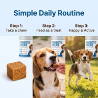 Probiotiques pour chiens OEM avec friandises à mâcher prébiotiques, friandises probiotiques pour chiens avec enzymes de citrouille, prébiotiques, santé intestinale, système immunitaire