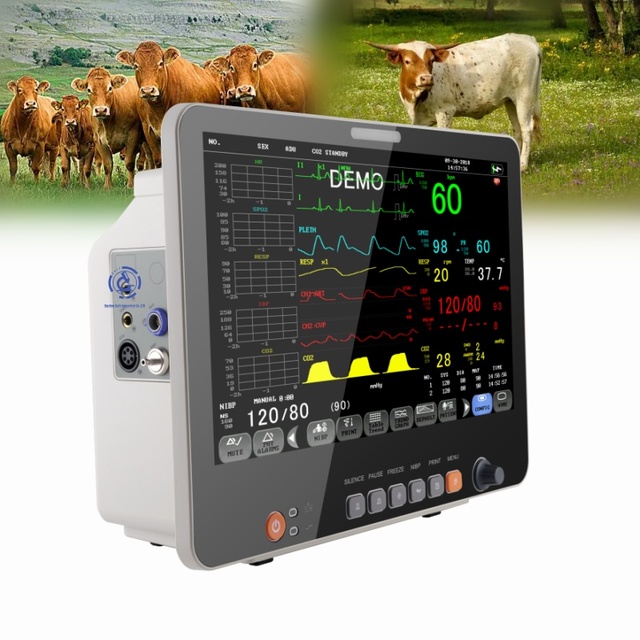Capnograph Monitor for Hospital 15.6 Inches 6 Parameter Icu Machine Vet Patient Monitoring Devices
