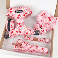 Harnais personnalisé pour chien, gilet en néoprène doux et respirant à motifs, ensemble de harnais réfléchissant anti-traction pour chien, laisse et sacs à déjections inclus