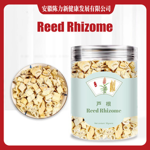 Rizoma de Caña de Paja / Rizoma de Caña Común / Rizoma de <span class=keywords><strong>Phragmites</strong></span> <span class=keywords><strong>Phragmites</strong></span> <span class=keywords><strong>Australis</strong></span> (Cav.) Trin. Ex Steud. - Product Image 1