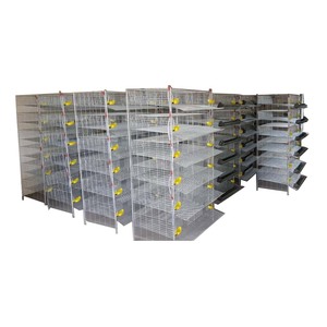 Gabbia <span class=keywords><strong>per</strong></span> Allevamento di <span class=keywords><strong>Quaglie</strong></span> HJ-QC300 <span class=keywords><strong>per</strong></span> 300 <span class=keywords><strong>Quaglie</strong></span> in Vendita - Product Image 1