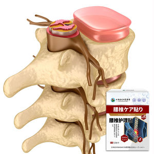 Elderberry penghilang nyeri Lumbar, pak khusus untuk nyeri akur, panas, demam, dan nyeri punggung rendah - Product Image 5