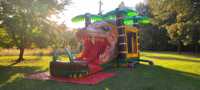 Maison de rebond de dinosaure personnalisé toboggan aquatique Combo videur gonflable commercial Double toboggan Piscine Air Jumper Jumping Castle