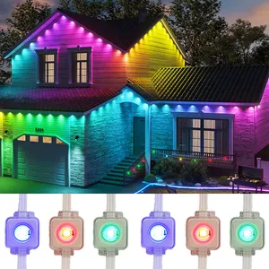 Outdoor Aluminum Profile Permanent RGB Gemstone Lighting Christmas LED Pixel Node With Program Or Programmable Lighting