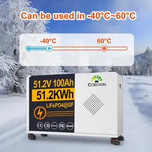 Lifepo4リチウム51.2V5Kwh 10Kwh 15Kwh20kwhソーラーホームエネルギー貯蔵基地局UPS電動工具48V100AhLifepo4バッテリー