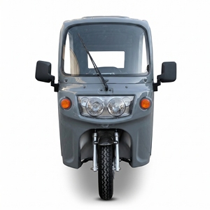 Mototaxi de Gasolina en Oferta, Triciclo de Pasajeros de 250 CC <span class=keywords><strong>para</strong></span> Personas con Discapacidad - Product Image 4