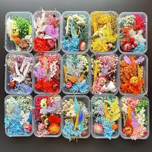 Fleurs séchées via paquet aléatoire, 50 pièces, cadre de diffuseur de savon