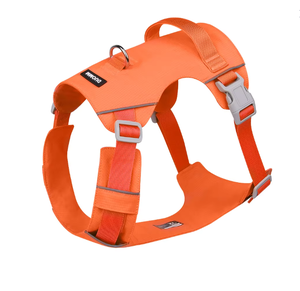 Yaz moda naylon köpek tasma nefes su geçirmez göğüs arka ışık açık yürüyüş için büyük köpekler kediler için patlamaya dayanıklı dişli - Product Image 1