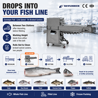 Découpeuse de Tête de Poisson Automatique Acier Inox Qualité Alimentaire Lavage Continu du Tapis pour Carpe Dorade Tilapia