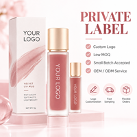 Rouge à lèvres liquide mat velours RTS 5g, 12 teintes, longue tenue, résistant au transfert, faible MOQ 3 pièces, vente en gros, logo personnalisé
