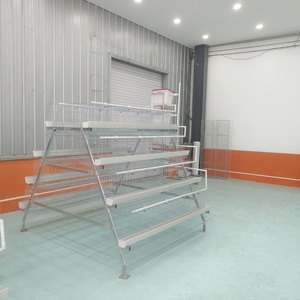 Prix de gros d'usine galvanisé un type 4 niveaux batterie cages poules pondeuses volaille poule cages de ponte à vendre - Product Image 2
