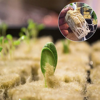 Livraison rapide taille commune stock en vrac cubes de laine de roche agriculture laine de roche pour la plantation