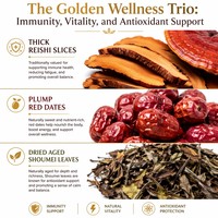 Thé blanc vieilli au champignon Reishi et jujube rouge, puissant antioxydant et soutien immunitaire, thé sain anti-âge