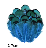 Plumes de faisan naturelles en gros, plumes de paon, petites plumes d'aigle, accessoires d'artisanat, création de bijoux, décoration de fêtes
