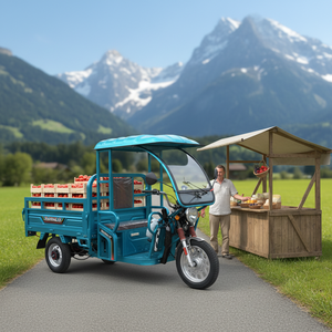 Triciclo Eléctrico con Techo, Motocicletas Eléctricas de 3 Ruedas, Triciclos de Carga, Triciclo Eléctrico, Popular en <span class=keywords><strong>Europa</strong></span> con Certificación EEC - Product Image 1