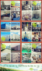 Poudre de fruit d'<span class=keywords><strong>alma</strong></span> de qualité alimentaire, poudre de groseille indienne pour complément alimentaire, ingrédient de poudre de fruit d'<span class=keywords><strong>alma</strong></span> - Product Image 5