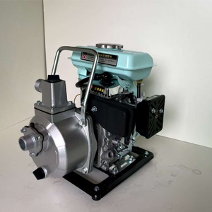 Pompe compacte WP10 ronde <span class=keywords><strong>avec</strong></span> une puissance d'aspiration de 6 mètres, idéale pour l'irrigation des petits jardins en saison sèche au Kenya. - Product Image 4