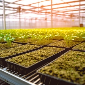 Large Movable Wire Mesh Seedbed Greenhouse <strong>Plant</strong> Nursery Equipment Grow <strong>Table</strong> Rolling Mesh Benches Hot Galvanized Steel - Product Image 3