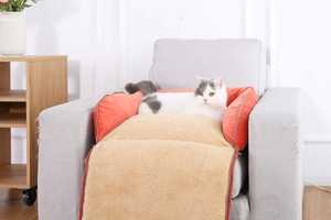 <span class=keywords><strong>4</strong></span> In 1 Hunde bett Benutzer definierte atmungsaktive Haustier Schlafs ofas Reiß verschluss Design Hunde bett mit Kapuze - Product Image 3