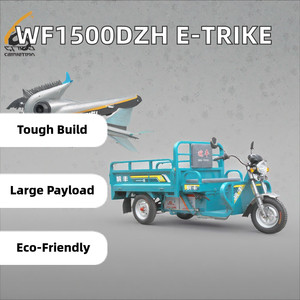 Hochleistungs-3-Rad-Elektro-Transportfahrzeug mit offener Karosserie für Kurier lieferung Fracht-Elektro-Dreiräder Motorrad - Product Image 5