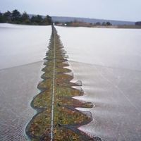Gestabiliseerd Anti-Hagelvogelnet Plastic Bescherm Gaas Vorsthagel Rond Mesh Netto Vruchtnet Bescherming