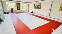 Tapis de combat professionnel imperméable approuvé par l'IJF, fourni directement par l'usine, pour le Jiu Jitsu, la lutte, la boxe, le karaté, le BJJ, le judo