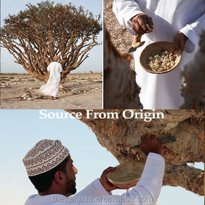 Incenso di Somalia: Resina Pura Selvatica di Olibano (Boswellia Serrata) per Olio Essenziale e Incenso, Erba Importata di Alta Qualità - Product Image 4
