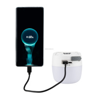 Bombilla LED Portátil para Camping con Base Magnética, Recargable, Linterna para Tienda de Campaña, Gancho para Camping, Emergencias, Senderismo, Regulable