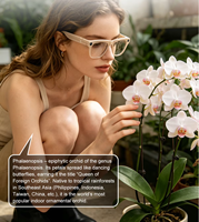 Lunettes Intelligentes Xk One Pro Prix Usine IA ChatGPT 800W pixels WiFi Photo Vidéo Appel BT IA avec 3 Verres Lunettes de Soleil Sportives