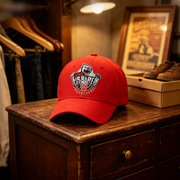 Gorra de béisbol personalizada y cómoda de 6 paneles con parche bordado y visera curva, 100% algodón, compatible con OEM y ODM