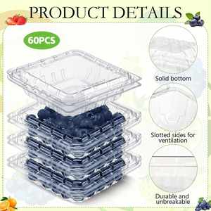 Contenedores Desechables de Plástico PP PET para Frutas, con Diseño de Orificios, para Tomate, Cereza, Arándano, Reciclables, Profesionales, al por Mayor - Product Image 3