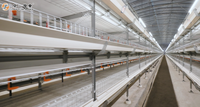 Nouveau système de cages en batterie entièrement automatique en acier de type H pour l'élevage avicole de poules pondeuses, pour une production efficace à grande échelle