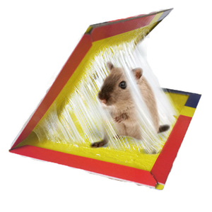 Piège à souris sans cruauté Colle Pièges à souris Plié Puissant Piège à rats Panneau <span class=keywords><strong>de</strong></span> colle - Product Image 6