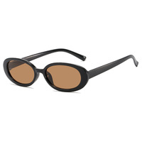 Nouvelles lunettes de soleil tendance européennes et américaines, monture ovale, lunettes de soleil personnalisées