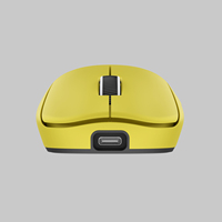 Souris de jeu sans fil PAW3395 PAW3950, connexion USB 2,4 GHz pour ordinateur de bureau/ordinateur, ergonomique, rechargeable, ambidextre