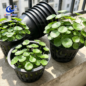 Pots en filet spécialisés pour plantes grimpantes, paniers en maille à fentes avec emplacements pour fixation de treillis - Product Image 6