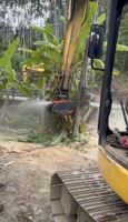 Débroussailleuse pour excavatrice de 3 à 10 tonnes, tondeuse de champ, tondeuse à foin, broyeur forestier