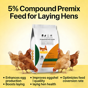Premezcla de Enzimas Probióticas Combinadas para Promover la Salud Intestinal y Reforzar la Inmunidad de <span class=keywords><strong>Gallinas</strong></span> <span class=keywords><strong>Ponedoras</strong></span> - Product Image 2