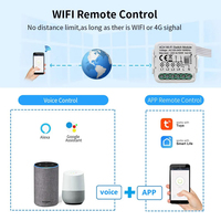 TYSH 1/2/3/4 Gang Tuya Wifi Zigbee Interrupteur Intelligent Lumière Sans Fil Télécommande Disjoncteurs Module Relais Domotique Commande Vocale Alexa
