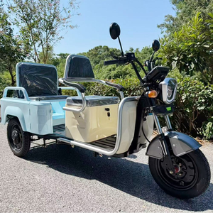 Triciclo Motorizado para Adultos en Oferta, Bicicleta de 3 Ruedas/Scooter para Pasajeros - Product Image 5