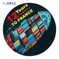 12 Años de Experiencia en Transporte Marítimo Puerta a Puerta DDP, Agente de Envío LCL a Francia, Logística FBA China